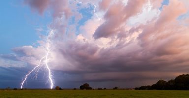 마인드바이드 소개